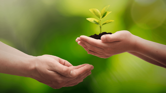 Be Kind to Yourself, Be Kind to the Earth