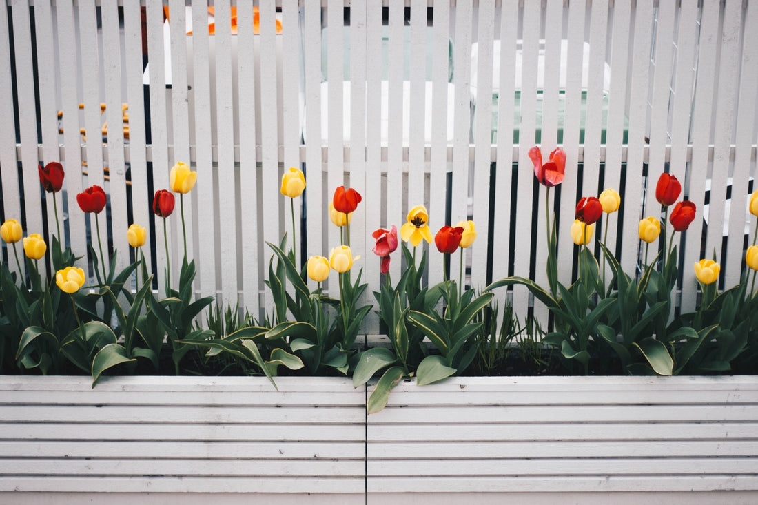 How Setting Your Boundaries Empowers Your Child