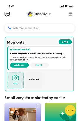 Parenting Support Mockup